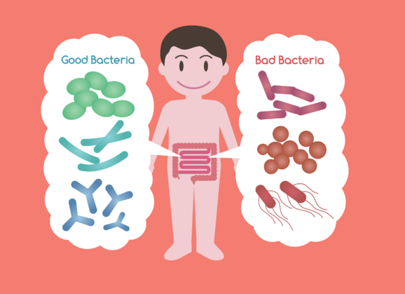 FODMAP, microbiote, IBS, SCI