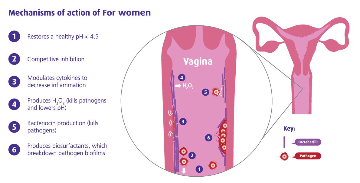 vaginite, mycose, candidose, cystite, infection urinaire, traitement naturel